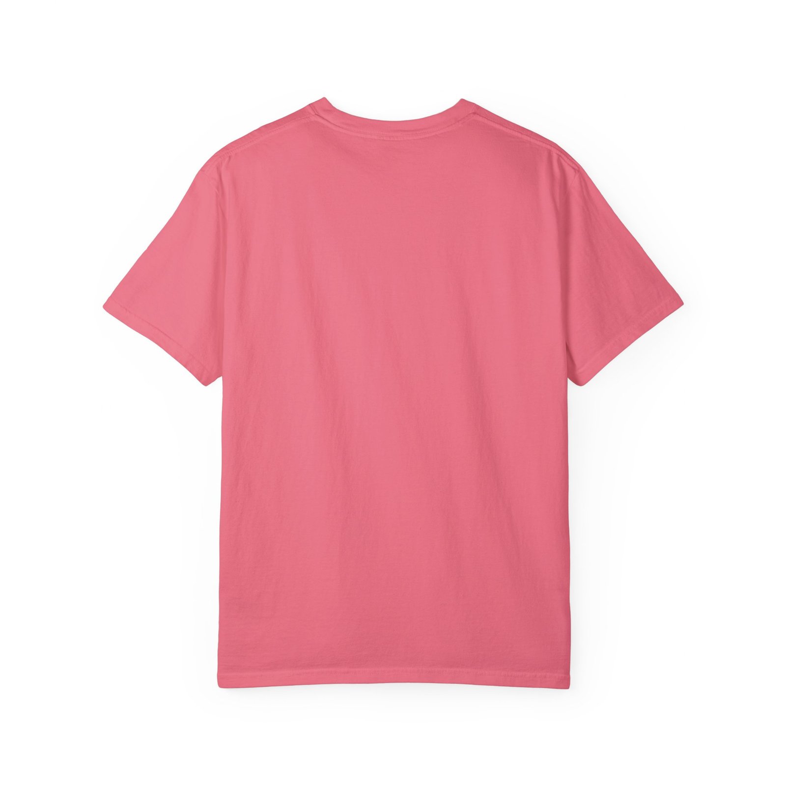 Proud Ghost | June & October Are My Favorite Months | Bi Flag | Unisex Comfort Colors T-shirt - Image 54