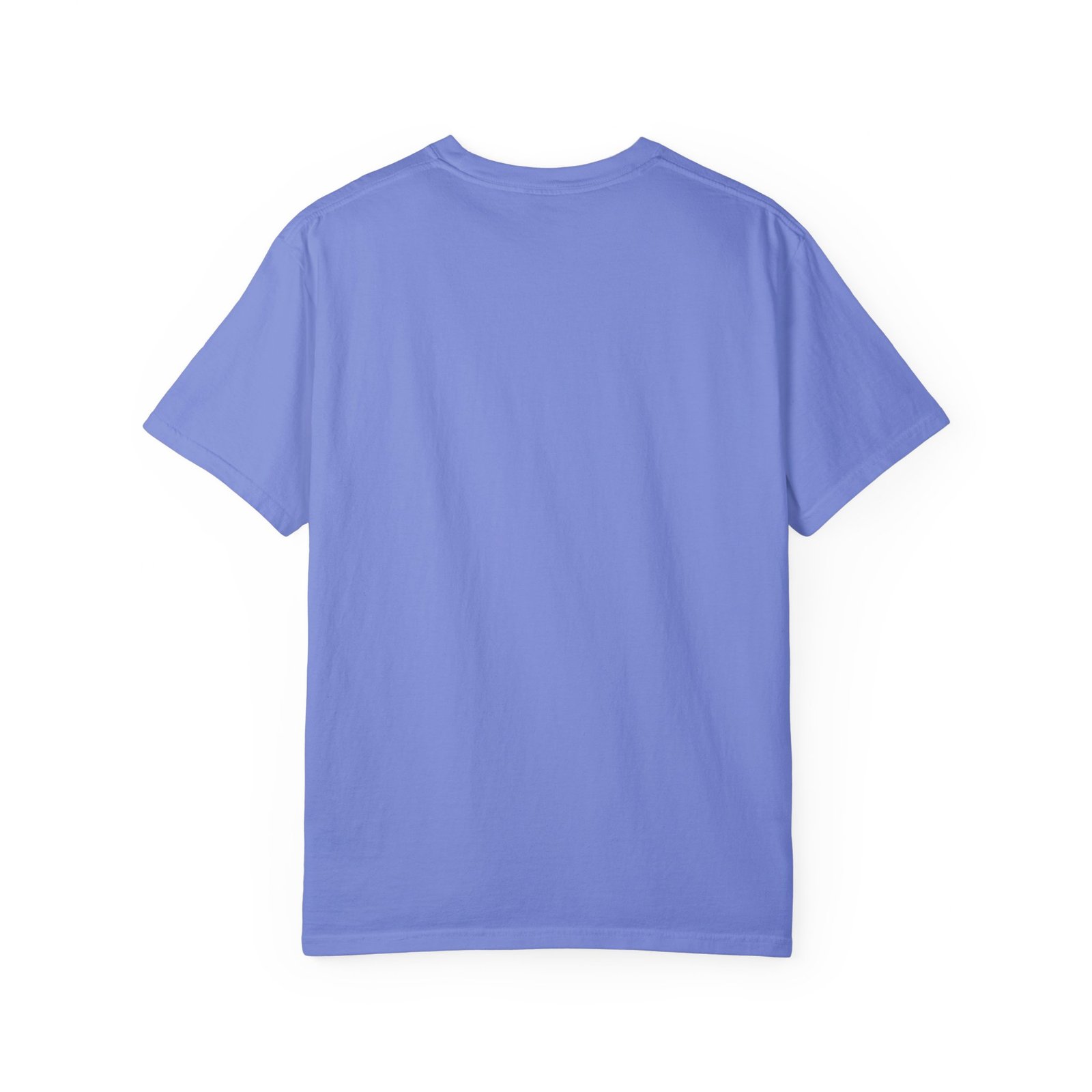 Proud Ghost | June & October Are My Favorite Months | Bi Flag | Unisex Comfort Colors T-shirt - Image 28