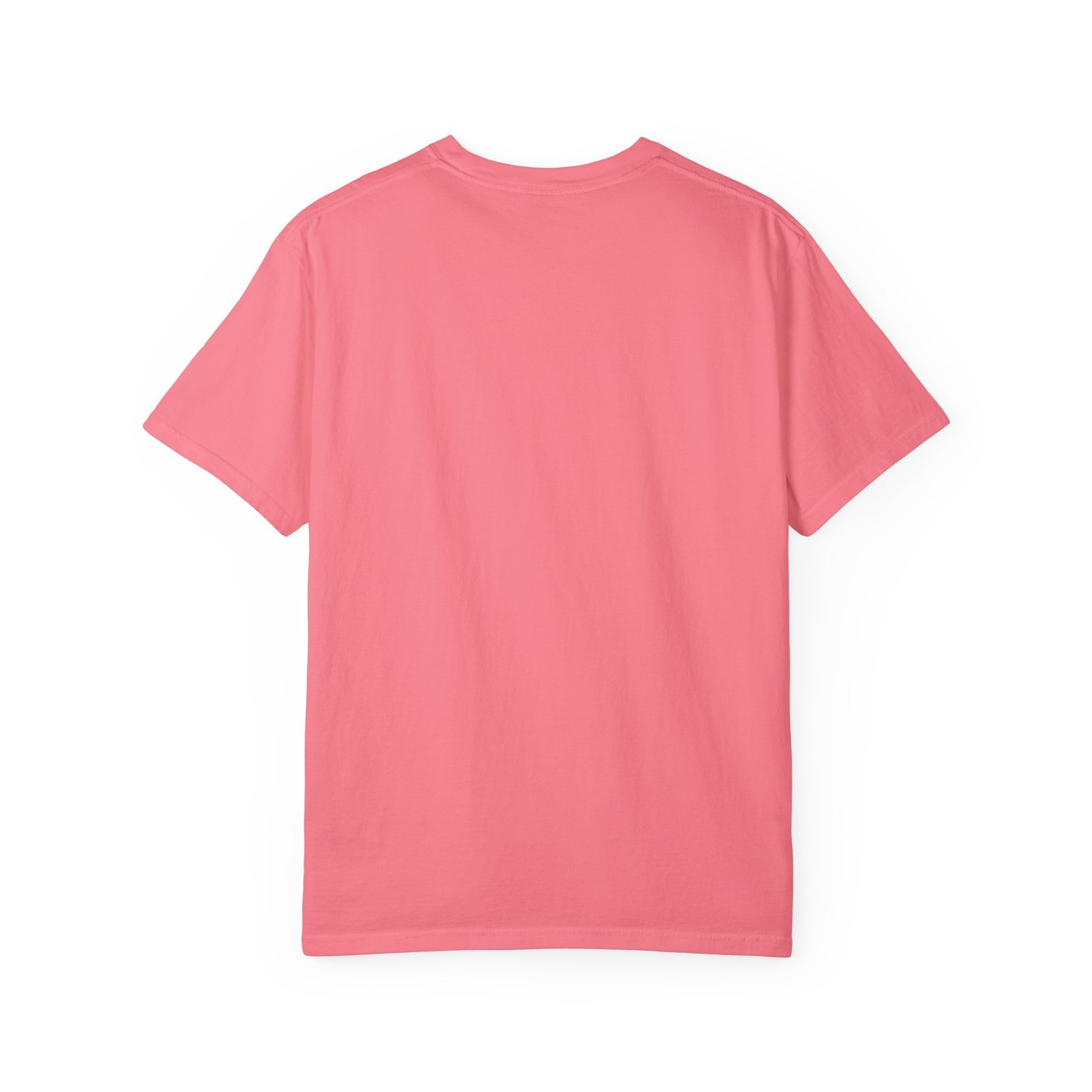 Proud Ghost | June & October Are My Favorite Months | Trans Flag | Unisex Comfort Colors T-shirt - Image 18