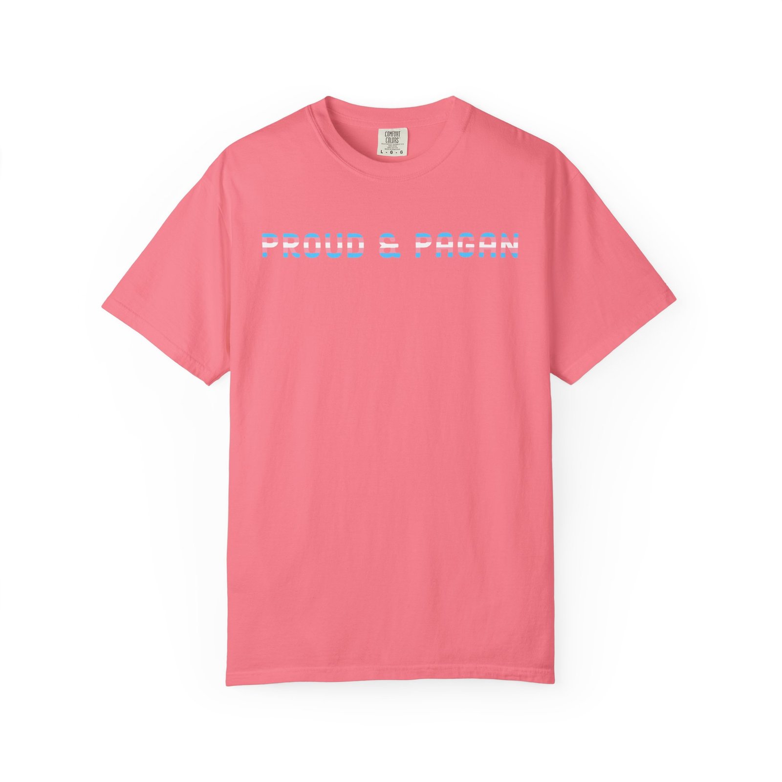 Proud & Pagan | Trans Flag | Unisex Comfort Colors T-shirt - Image 17